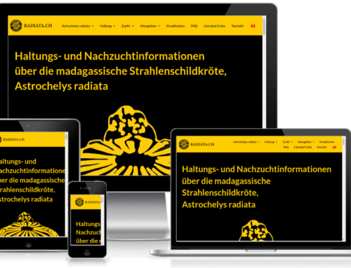 Neuerstellung der Website Radiata.CH